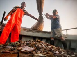 Ars Electronica 2024 / Linz, various locations