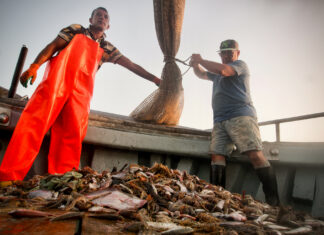 Ars Electronica 2024 / Linz, various locations