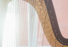 VIENNA HARP DAYS – internationaler Meisterkurs & Festival für Harfe / various locations, Wien