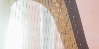 VIENNA HARP DAYS – internationaler Meisterkurs & Festival für Harfe / various locations, Wien