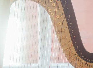 VIENNA HARP DAYS – internationaler Meisterkurs & Festival für Harfe / various locations, Wien