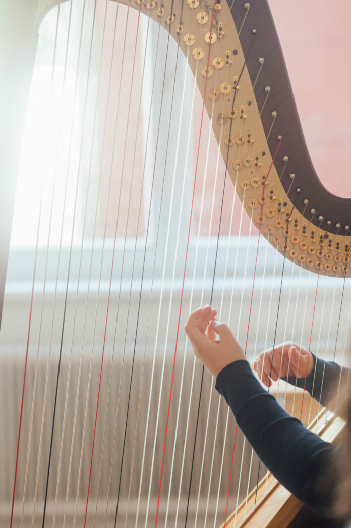 Vienna Harp Days © Daniel Willinger