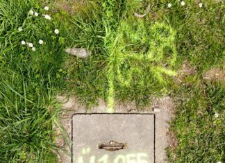 Rewilding the City / off_gallery & raum, Graz