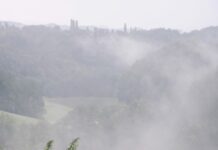 Zarte Banden – Jammaregg II / Sankt Ulrich i. Greith & Graz, Styria