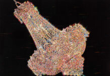 Forms of the Shadow / Wiener Secession, Wien