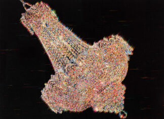 Forms of the Shadow / Wiener Secession, Wien