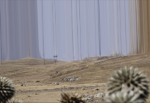 The Color of Energy – Chapter II / Salzburger Kunstverein, Salzburg