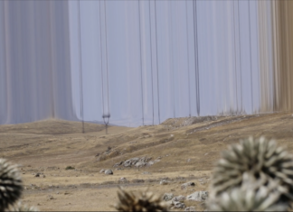 The Color of Energy – Chapter II / Salzburger Kunstverein, Salzburg