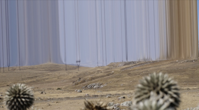 The Color of Energy – Chapter II / Salzburger Kunstverein, Salzburg