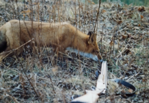 Viennacontemporary 2024 / Halle D, Messe Wien