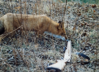Viennacontemporary 2024 / Halle D, Messe Wien