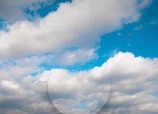 Olia Fedorova: Geister der Erinnerungen / Erinnerungen an die Geister/ off_gallery & raum, Graz