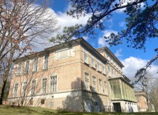 Parallel Vienna 2024 / Otto-Wagner-Areal, Wien