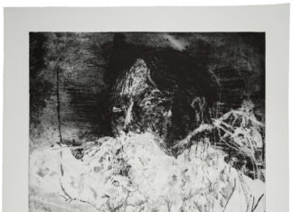 THERESE EISENMANN – ISLAND: Das Wilde, Chaotische und Unberechenbare / Francisco Carolinum Linz