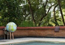 Mit dem Löwen tanzen / Museum der Moderne, Rupertinum, Salzburg