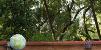 Mit dem Löwen tanzen / Museum der Moderne, Rupertinum, Salzburg