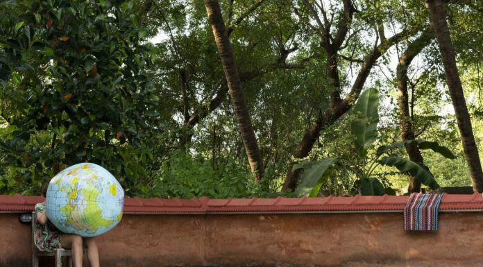 Mit dem Löwen tanzen / Museum der Moderne, Rupertinum, Salzburg