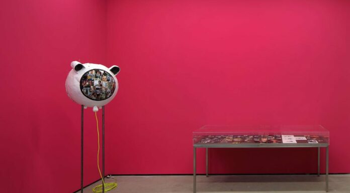 Der Raum in unseren Köpfen. Die Sammlungen / Museum der Moderne Salzburg, Mönchsberg, Salzburg