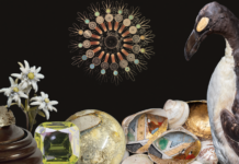 Fascinating treasures – naturally collected / Naturkundemuseum, Graz