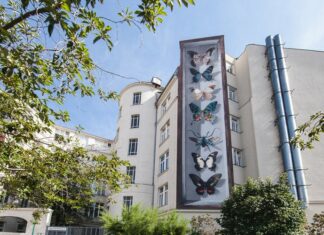 Calle Libre Festival 2024 / various locations, Wien