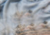 NOUSHIN REDJAIAN | To See Clearly / Bildraum 01, Wien