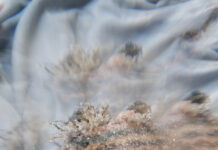 NOUSHIN REDJAIAN | To See Clearly / Bildraum 01, Vienna