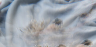NOUSHIN REDJAIAN | To See Clearly / Bildraum 01, Wien