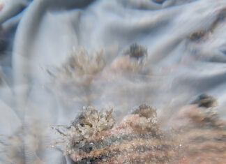 NOUSHIN REDJAIAN | To See Clearly / Bildraum 01, Wien