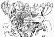 Wild corners – wallowing in the urban world / rotor – Zentrum für zeitgenössische Kunst, Graz, Styria