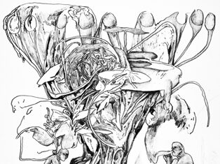 Wilde Winkel – Sich einwalden in der städtischen Welt / rotor – Zentrum für zeitgenössische Kunst, Graz, Steiermark