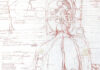 Hermann Nitsch – Drawings / BRUSEUM – Neue Galerie, Graz