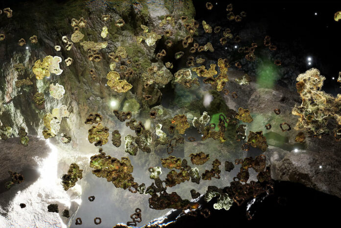 ©Videostill aus Choir of Kin – Lichenography