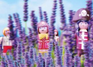 Teaser Lavendel – bildkombinat bellevue / eborangalerie, Salzburg