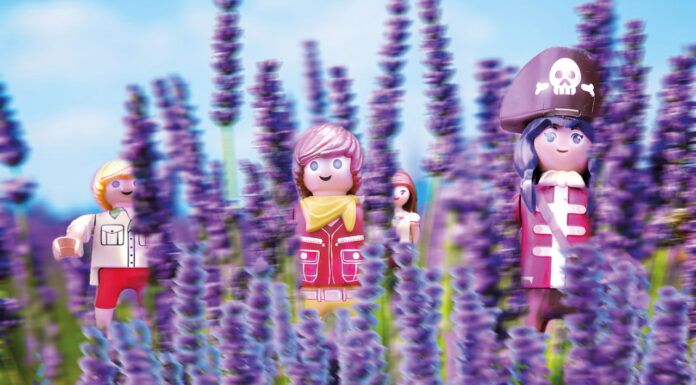 Teaser Lavendel – bildkombinat bellevue / eborangalerie, Salzburg