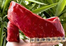 IDENTITIES / kunstGarten, Graz