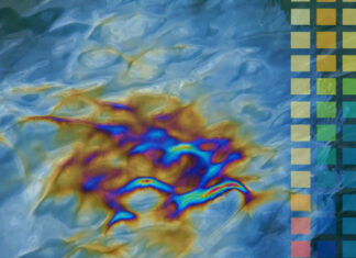 Go to the source! / Österreichisches Kulturforum, Prag