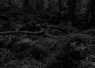 Heinz Poeschko – Wald / off_gallery & raum, Graz