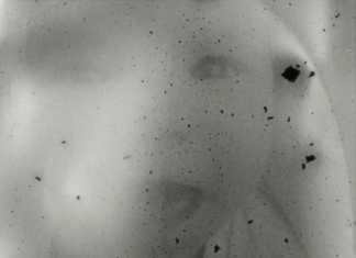 Luz Olivares Capelle – Fluid Imprint / Salzburger Kunstverein, Salzburg