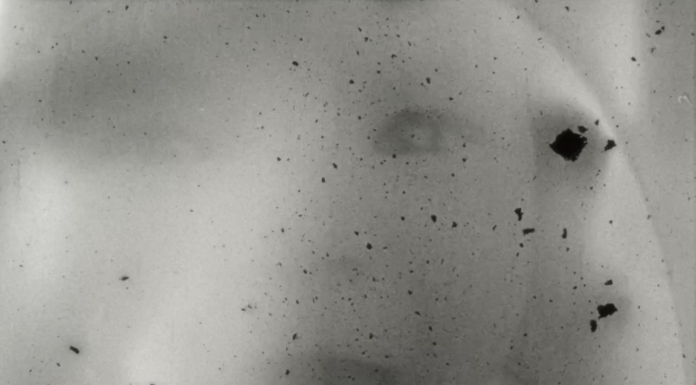 Luz Olivares Capelle – Fluid Imprint / Salzburger Kunstverein, Salzburg