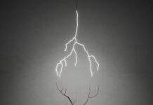 GLENDA LEÓN – COSMIC TRACE / OK Linz