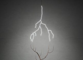 GLENDA LEÓN – COSMIC TRACE / OK Linz