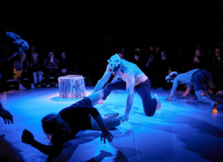 Winterfest ’24 / Salzburg, various locations