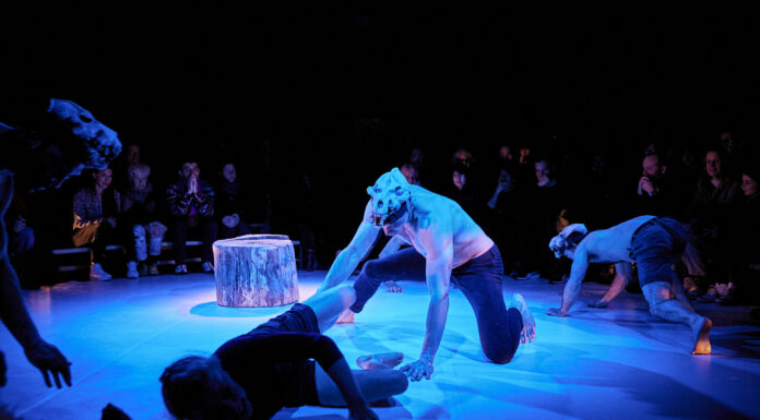 Winterfest ’24 / Salzburg, various locations