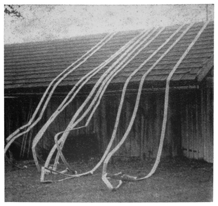 © Peter Schreiner, Schläuche (aus: Elementare Erscheinungen), 2024 Pigment-Print auf Washi-Papier, 170 x 112 cm