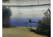 Speedshow Series S2E5: PLASTOPOLIS – Ein Noise Musical / Museumquartier, Wien