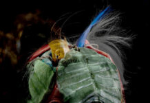 Touch Nature / Lentos Kunstmuseum, Linz