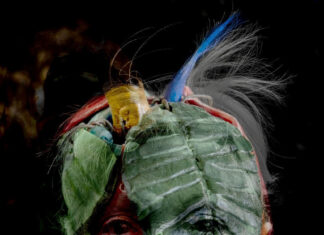 Touch Nature / Lentos Kunstmuseum, Linz