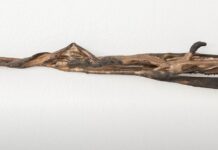 LUKA BERCHTOLD | Make Room for Lisa / Bildraum 01, Wien