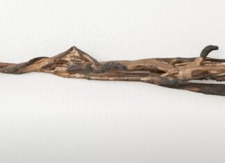 LUKA BERCHTOLD | Make Room for Lisa / Bildraum 01, Wien