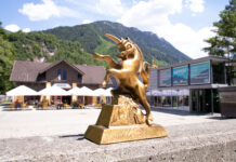 ALPINALE auf Tour / various locations, Vorarlberg & Wien